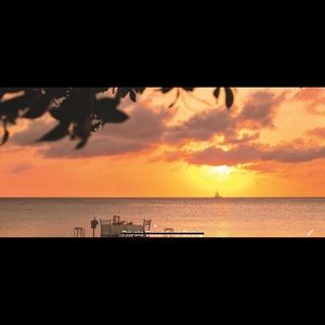 Meet your Posher, Walter